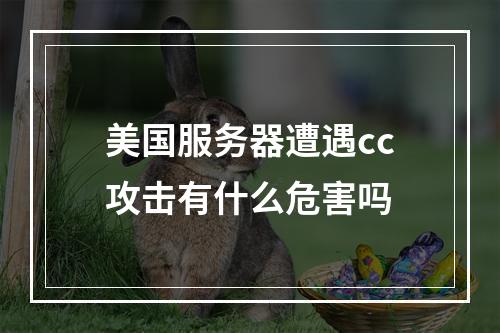 美国服务器遭遇cc攻击有什么危害吗