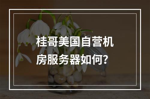 桂哥美国自营机房服务器如何?