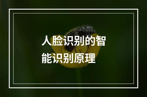 人脸识别的智能识别原理