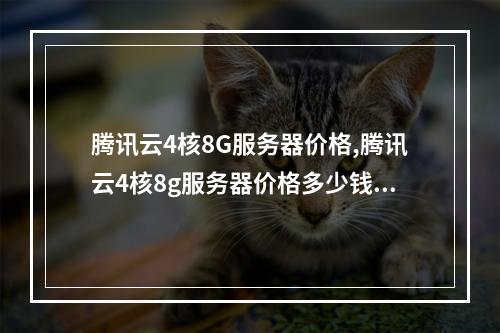 腾讯云4核8G服务器价格,腾讯云4核8g服务器价格多少钱2022年更新(腾讯云4核8g服务器600)