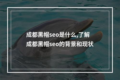 成都黑帽seo是什么,了解成都黑帽seo的背景和现状