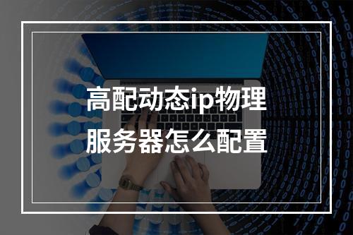 高配动态ip物理服务器怎么配置