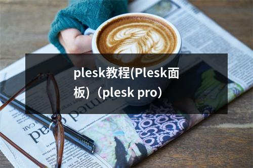 plesk教程(Plesk面板)(plesk pro)