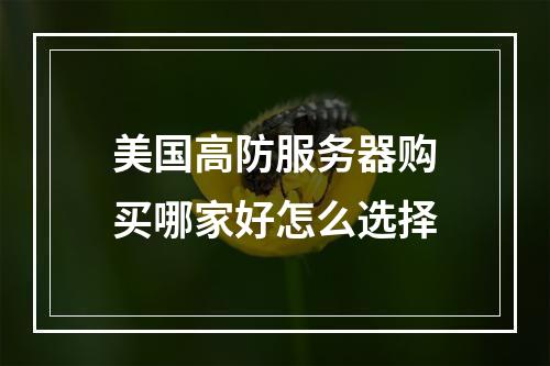 美国高防服务器购买哪家好怎么选择