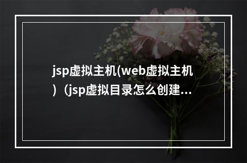 jsp虚拟主机(web虚拟主机)(jsp虚拟目录怎么创建)