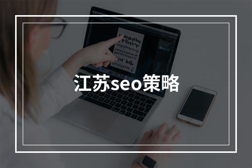 江苏seo策略