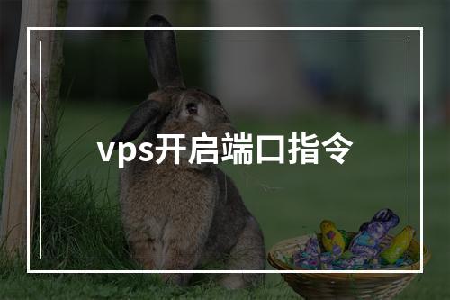 vps开启端口指令