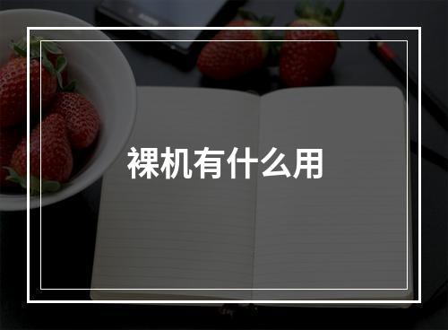 裸机有什么用