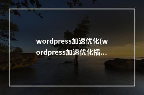 wordpress加速优化(wordpress加速优化插件)(wordpress性能优化加速)