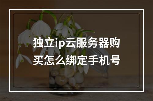 独立ip云服务器购买怎么绑定手机号