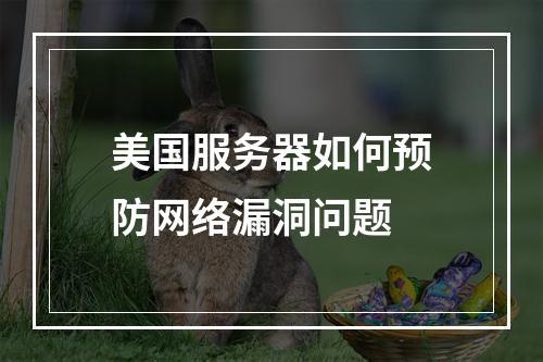 美国服务器如何预防网络漏洞问题