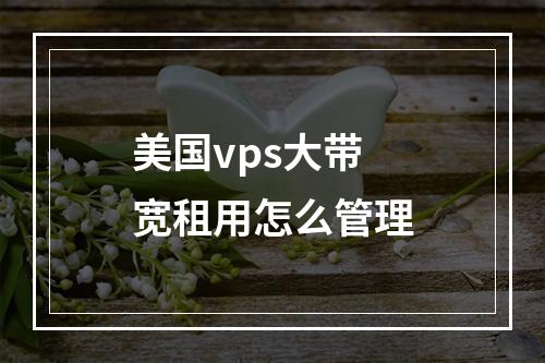 美国vps大带宽租用怎么管理