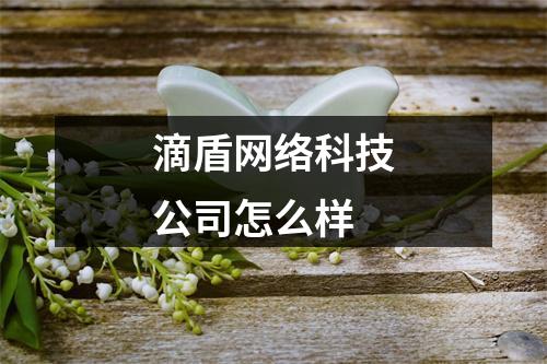 滴盾网络科技公司怎么样