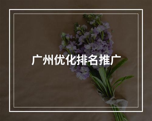 广州优化排名推广