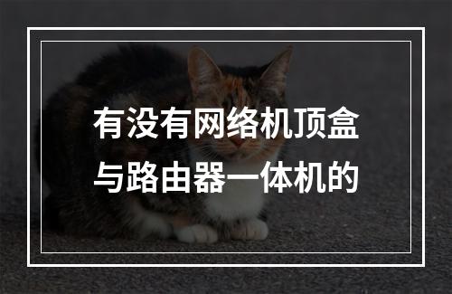 有没有网络机顶盒与路由器一体机的