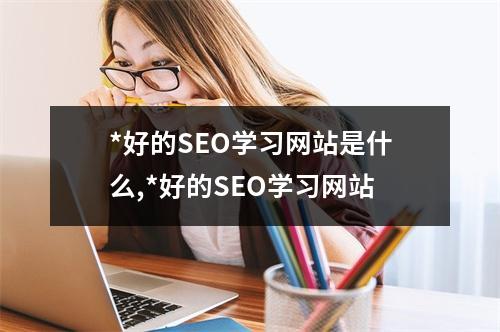 *好的SEO学习网站是什么,*好的SEO学习网站