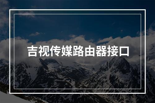 吉视传媒路由器接口