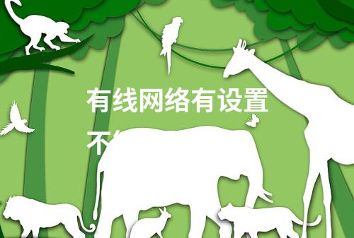 有线网络有设置不能用路由器