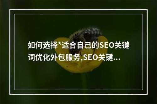 如何选择*适合自己的SEO关键词优化外包服务,SEO关键词优化外包对网站排名的影响