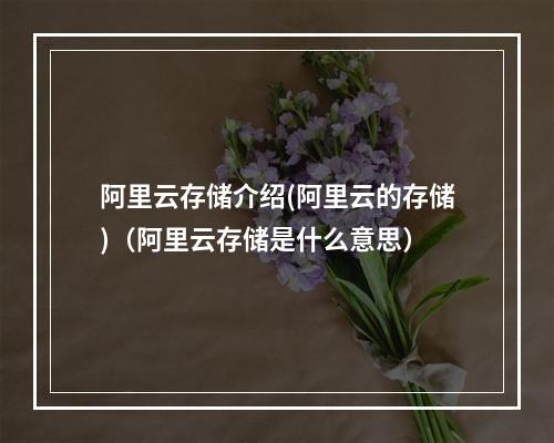 阿里云存储介绍(阿里云的存储)(阿里云存储是什么意思)