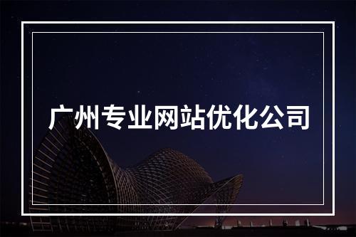 广州专业网站优化公司