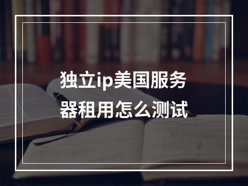 独立ip美国服务器租用怎么测试