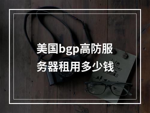 美国bgp高防服务器租用多少钱