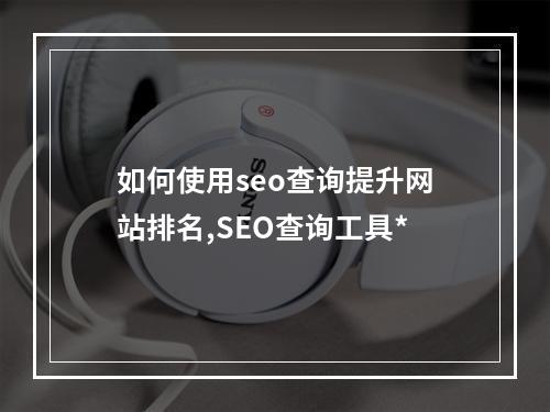 如何使用seo查询提升网站排名,SEO查询工具*