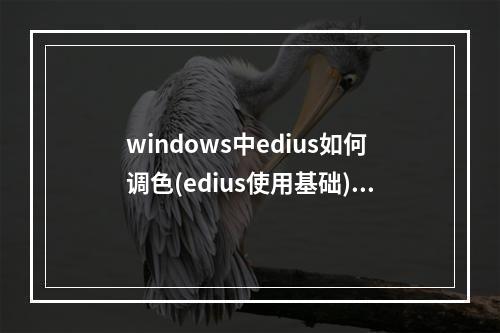 windows中edius如何调色(edius使用基础)(edius怎么调色)