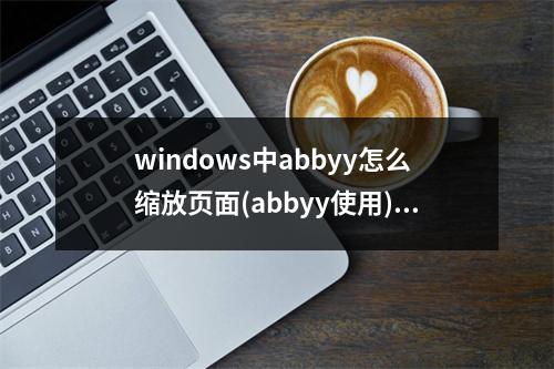 windows中abbyy怎么缩放页面(abbyy使用)(abbyy怎么修改页面大小)