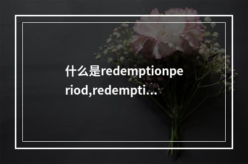 什么是redemptionperiod,redemptionperiod具体代表什么意思