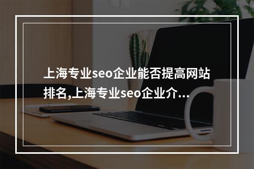 上海专业seo企业能否提高网站排名,上海专业seo企业介绍