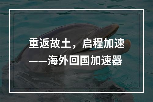 重返故土,启程加速——海外回国加速器