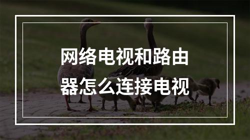 网络电视和路由器怎么连接电视