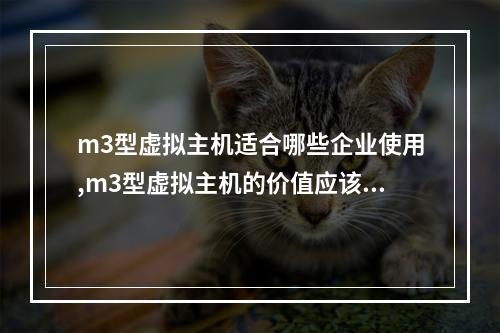 m3型虚拟主机适合哪些企业使用,m3型虚拟主机的价值应该如何评估