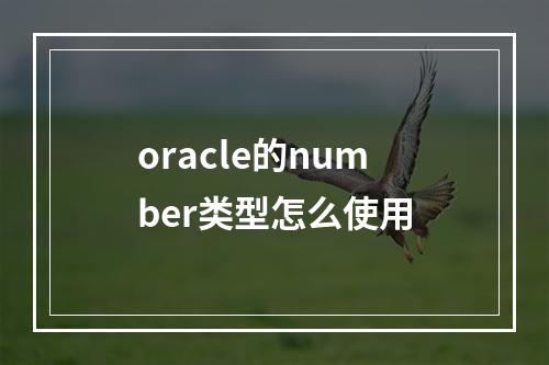 oracle的number类型怎么使用