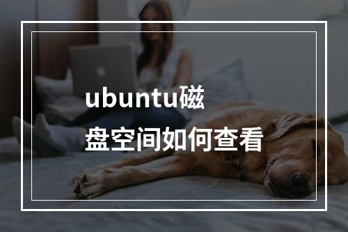ubuntu磁盘空间如何查看