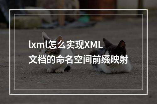 lxml怎么实现XML文档的命名空间前缀映射