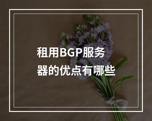 租用BGP服务器的优点有哪些
