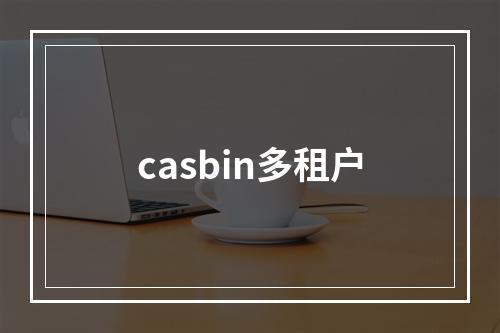casbin多租户