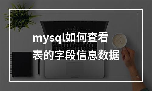 mysql如何查看表的字段信息数据