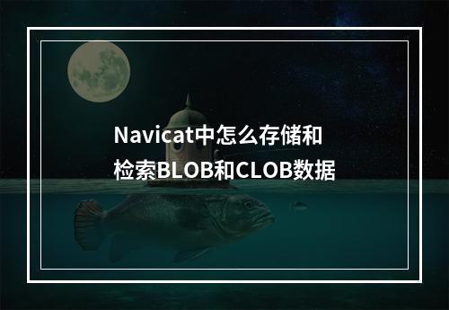 Navicat中怎么存储和检索BLOB和CLOB数据