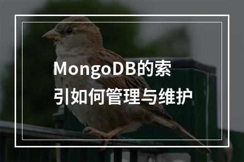 MongoDB的索引如何管理与维护