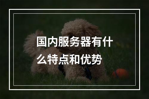 国内服务器有什么特点和优势