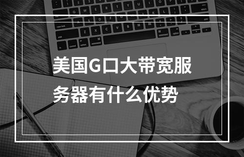 美国G口大带宽服务器有什么优势