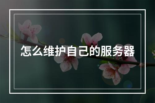 怎么维护自己的服务器