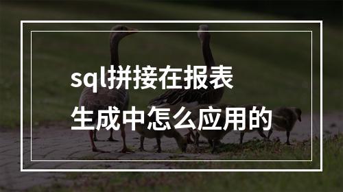 sql拼接在报表生成中怎么应用的