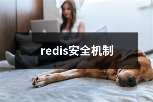 redis安全机制