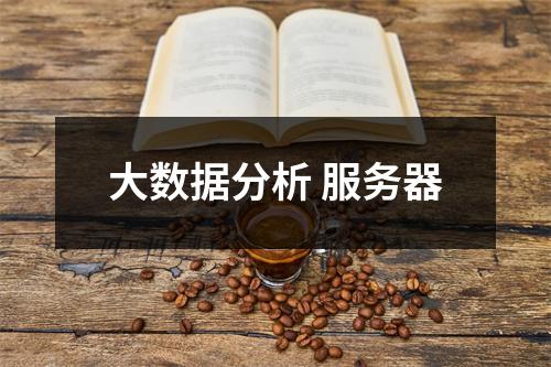 大数据分析 服务器