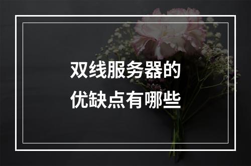 双线服务器的优缺点有哪些